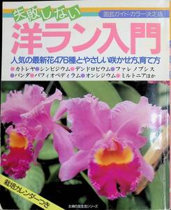 失敗しない　洋ラン入門　園芸ガイド・カラー決定版　　YB230108K1