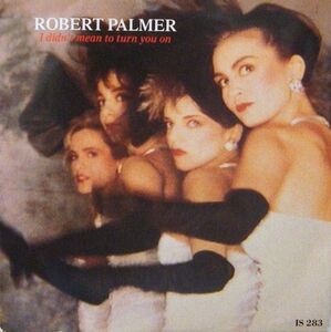 英7 Robert Palmer I Didnt Mean To Turn You On IS283 Island Records /00080