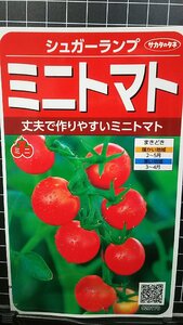 ３袋セット ミニトマト シュガー ランプ ミニ トマト 種 郵便は送料無料