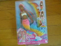 DARK BARBIE DREAM TOPIA 新品ケース入 721