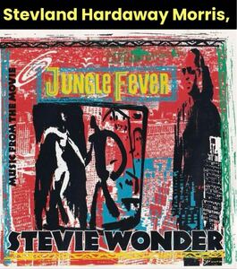 Stevie Wonder Music From The Movie Jungle Fever BVCM109★プロモサンプラー見本盤スティービー ワンダー 