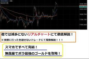 ★FX　スマホFX 驚異の無裁量GOLD専用裏技手法★スマホで完結★損切りや利確もルールとしてしっかり設定★定価15000円★