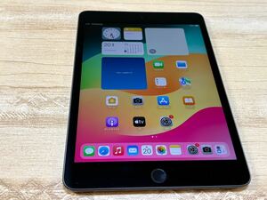 SoftBank SIMフリー Apple iPad mini (第5世代) Wi-Fi+Cellular 64GB MUX52J/A スペースグレイ ※バッテリー85%