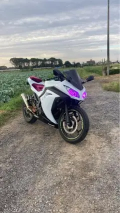 川崎 NINJA250EXL