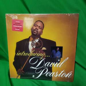 LP レコード David Peaston - Introducing...