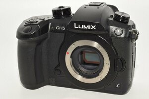 ★新品級★ Panasonic パナソニック LUMIX DC-GH5M-K レンズキット ブラック