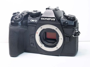 オリンパスOLYMPUS★OM-D E-M1 Mark Ⅱ★予備バッテリー付き