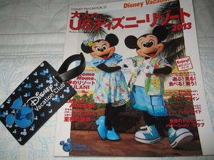 ◆激レア◆大人のＵＳディズニーリゾート◆2013年◆中古◆Disney Vacation Club◆希少◆ネームプレート◆定価1500+税◆レア◆