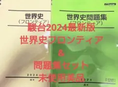 駿台2024最新版 世界史フロンティア&問題集セット 未使用美品