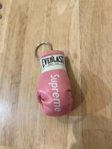 EVERLAST エバーラスト　モデル　ボクシング　ミニチュアグローブ　ピンク