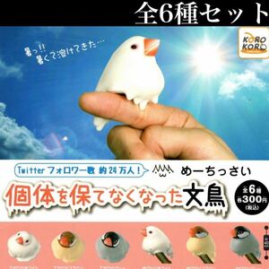 ■送料無料■ 個体を保てなくなった文鳥 全6種セット /めーちっさい/指のり文鳥/文鳥ライフ/ガチャ/SNSで大人気！！