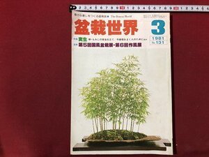 ｍ〇〇　盆栽世界　1981.3　特集：実生　速報第5回国風盆栽展・第6回作風展　昭和56年3月発行　/I87