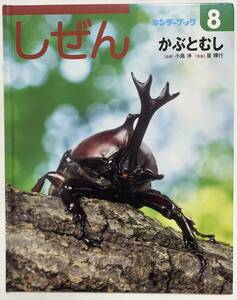 キンダーブック しぜん 8 かぶとむし/小島 渉星 輝行/フレーベル館(中古)