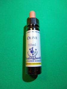 23.オリーブ Oliveフラワーエッセンス■10ml■激安☆ヒーリングハーブス社 Healing Herbs Flower Essence新品・未使用品