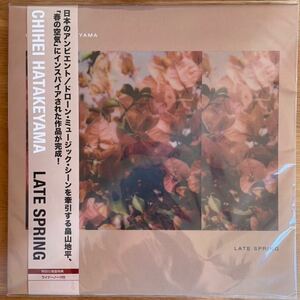 Late Spring アナログ　Chihei Hatakeyama 畠山地平