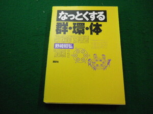 ■なっとくする群・環・体 野崎昭弘　講談社■FAIM2023112115■