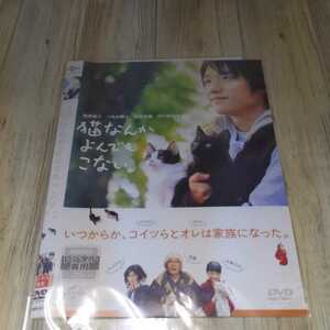 う480 猫なんかよんでもこない　風間俊介　つるの剛士　中古レンタル落ち