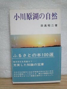 昭和53年■青森県　小川原湖の自然　田高昭二/東奥日報社　その歴史-生物層-植物-遭難慰霊碑-銘木