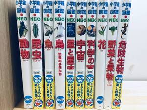 DVD付き 小学館の図鑑NEO 新版 10冊セット