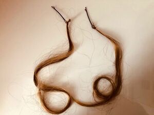 ヘアエクステンション 2本 金髪 茶 ウィッグwig