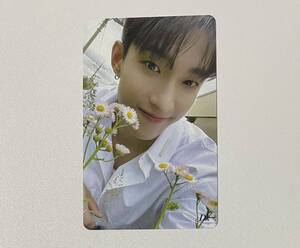 SEVENTEEN ドギョム Your Choice HMV 第2弾 トレカ DK Photocard