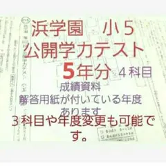 浜学園　小５　公開学力テスト　５年分　2023年度対応可能