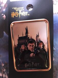 ハリーポッター ピンバッチ Harry Potter 約6cm