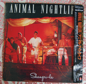 シャングリラ/アニマル・ナイトライフ/レコード番号R25D-2013/Animal Nightlife