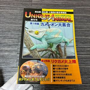 爬虫類 両生類 小動物の総合情報誌●UNIQUE ANIMAL ユニークアニマル 創刊号/第1特集 カメレオン 大集合/リクガメ大上陸/ホシガメ★1505-3