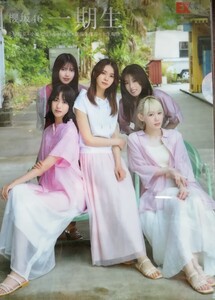 上村莉菜　小池美波　小林由依　齋藤冬優花　土生瑞穂　櫻坂４６一期生（Ｂ５）クリアファイル 同梱可