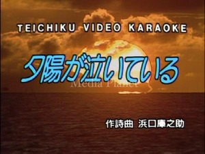 VCDカラオケ】スパイダース*夕陽が泣い..含/17曲/TC/111/mdpkrvc