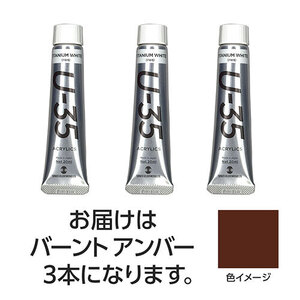 まとめ得 【3本×5セット】 ターナー色彩 U35 バーントアンバー20ml TURNER108694X5 x [2個] /l