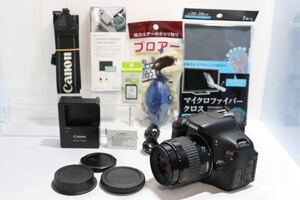 美品 【Canon EOS Kiss X5 レンズセット】 初心者おすすめセット 初期不良返品対応あり　「届いたらすぐ撮影～保存できます」