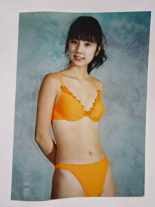 小倉優子　２Ｌサイズ（キャビネ）サイズ　水着 生写真　５