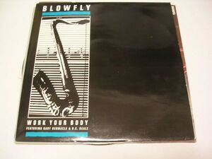 ●HOUSE 12”●BLOWFLY/WORK YOUR BODY