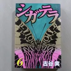 漫画　古谷実「シガテラ（完結） 6」ヤングマガジン