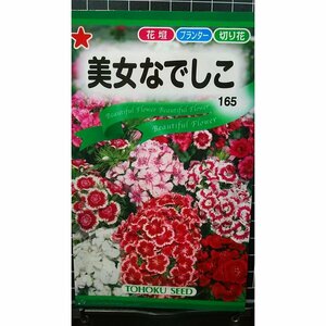 ３袋セット 美女 なでしこ 撫子 種 郵便は送料無料