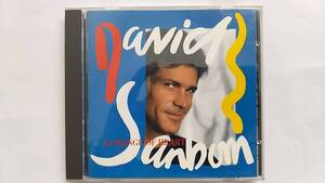 DAVID SANBORN　デイヴィッド・サンボーン　チェンジ・オブ・ハート　国内盤　32XD-631