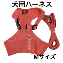 犬用 ハーネス 首輪 胴輪 Mサイズ