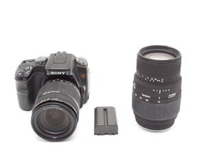 SONY α100、SONY 18-200mm、SIGMA 70-300mm