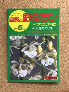 自然と野生ラン 1990年5月号　エビネ ユキワリソウ カンアオイ ※ 園芸JAPAN