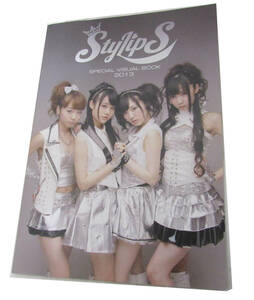 StylipS SPECIAL VISUAL BOOK スペシャルビジュアルブック　2013