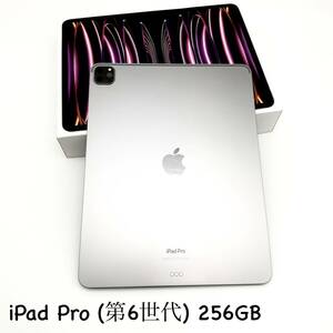 ★Apple確認済み★iPad Pro 12.9インチ 第6世代 Wi-Fiモデル 256GB スペースグレイ MNXR3J/A バッテリー最大容量91% 2022年モデル【A2436