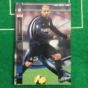 172)Panini Football League FC Internazionale 25 Walter Samuel ワルテル サムエル インテル パニーニ フットボール リーグ