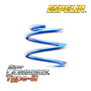 エスペリア スーパーダウンサス TYPE2 前後セット ハスラー 2WD 5MT NA 「A/G」 MR31S 14/1～15/11 ESS-1486