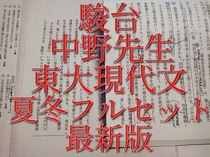 駿台　中野芳樹先生　20年夏期・冬期　東大現代文　板書・問題・プリント　フルセット　最上位SSクラス　河合塾　鉄緑会　Z会　東進 　SEG