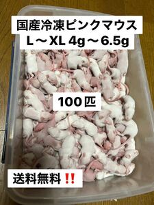 国産冷凍ピンクマウスL.XL 100匹 北海道沖縄及び離島発送別料金