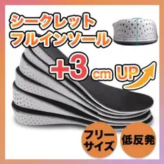 【3cm UP】 シークレットインソール 中敷き 身長アップ レディース メンズ