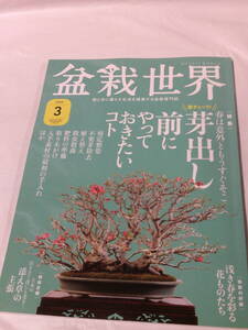 盆栽世界　2020年3月　芽出し前にやっておきたいコト/季節の好樹　浅き春を彩る花ものたち◆ゆうパケット　JB2