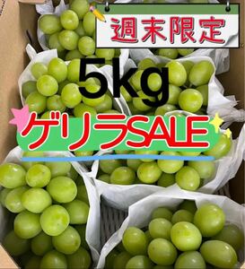 山梨県産　長野県産　山形県産　シャインマスカット　葡萄　ぶどう　ブドウ　箱込み5kg